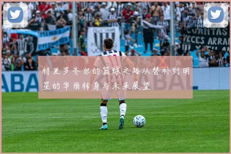 特里罗齐尔的篮球之路从替补到明星的华丽转身与未来展望