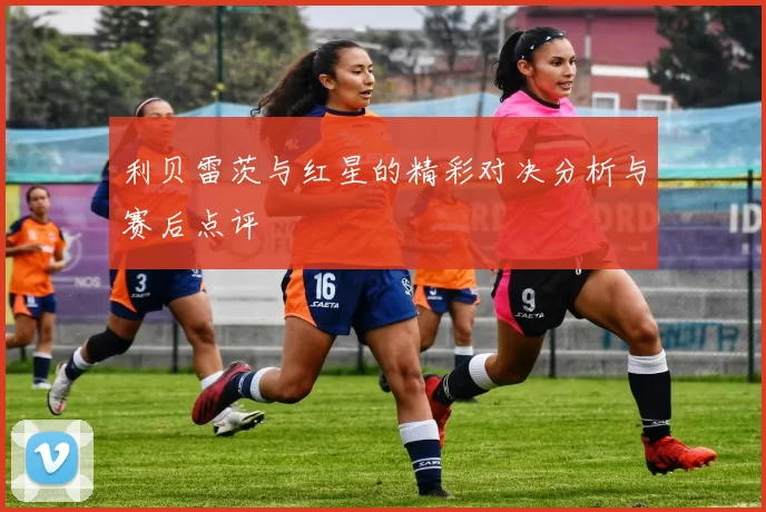 利贝雷茨与红星的精彩对决分析与赛后点评
