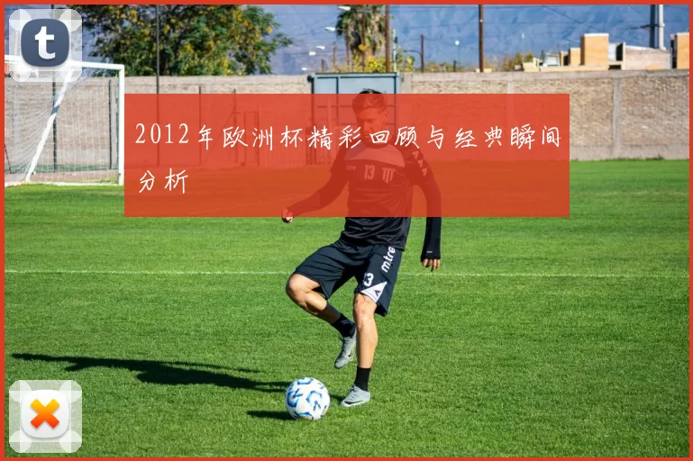 2012年欧洲杯精彩回顾与经典瞬间分析